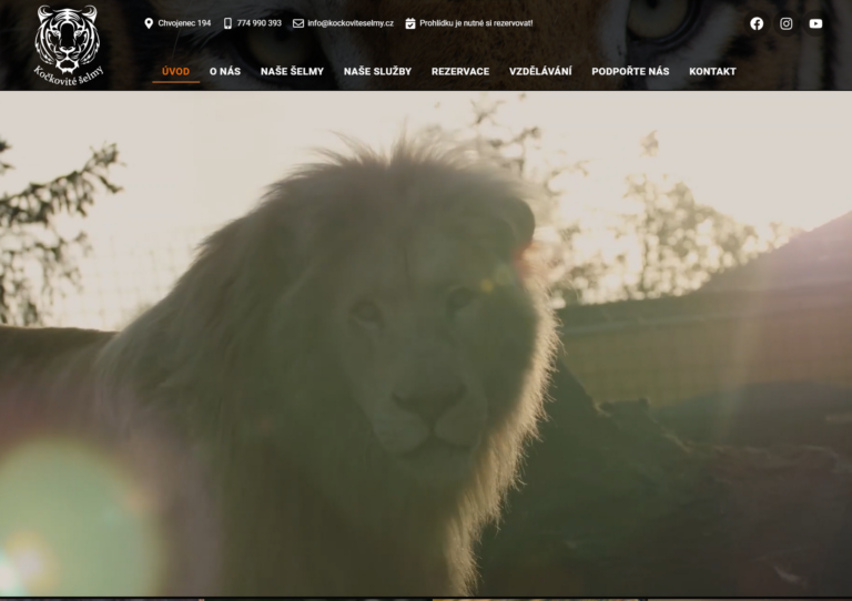 Kočkovité šelmy Chvojenec


  kockoviteselmy.cz